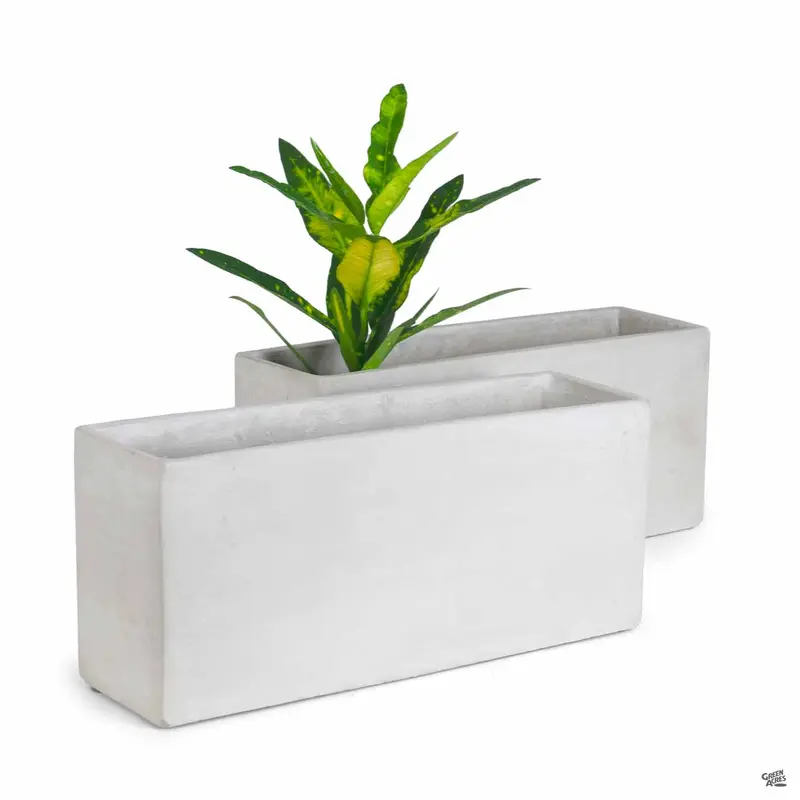 Rectangular Plant Vessel