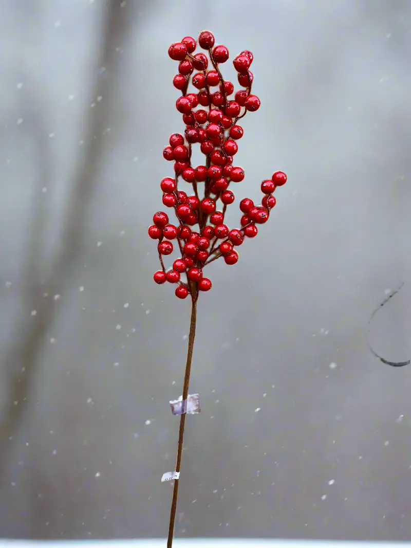 Red Berry Pick
