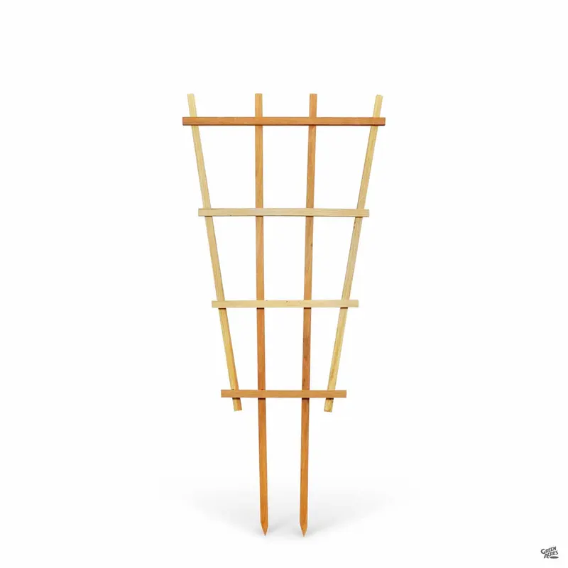Redwood Fan Trellis