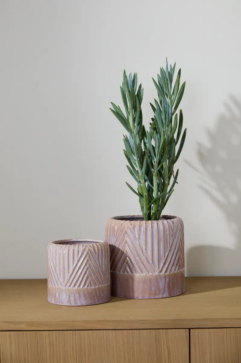 Refresh Pot Set of 2 By Accent Decor