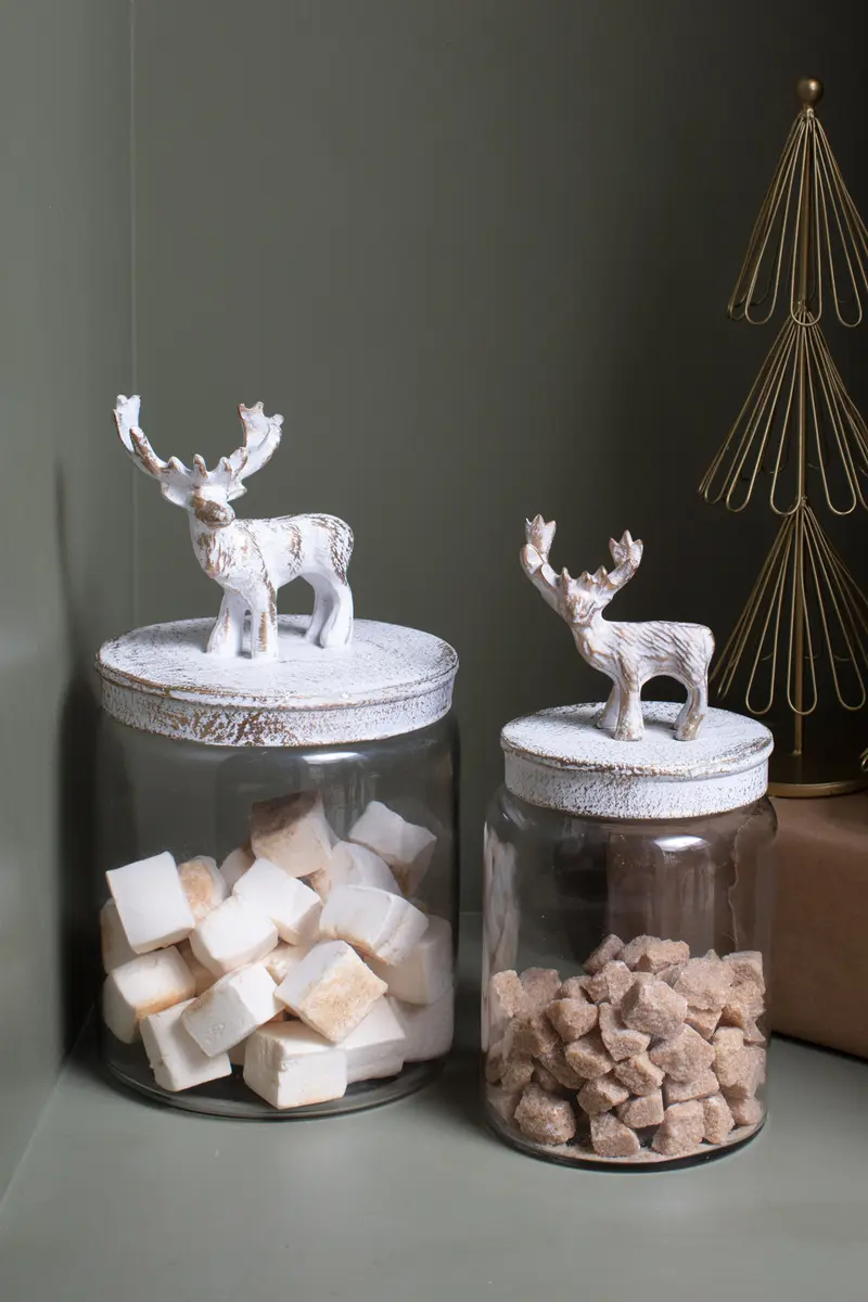 Renton Canister Set of 2 By Accent Decor