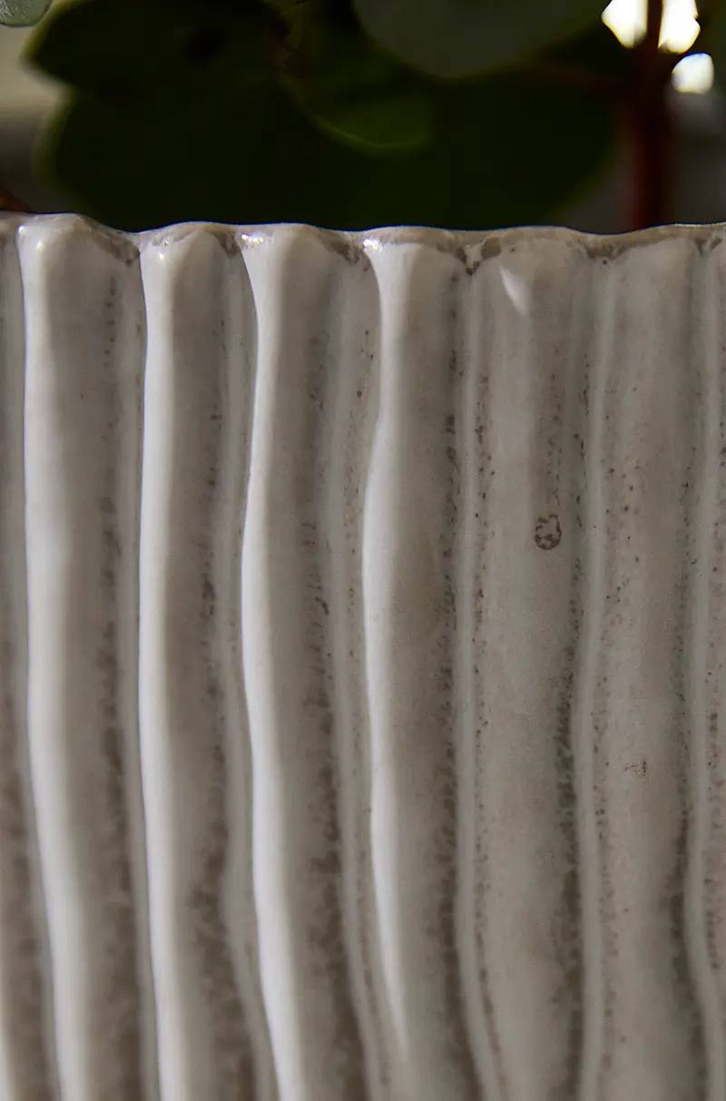 Riptide Collection By Accent Decor