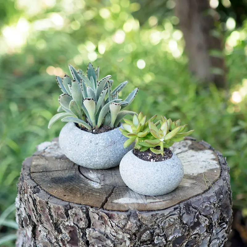 River Stone Succulent Pot Set of 12 By Garden Age Supply