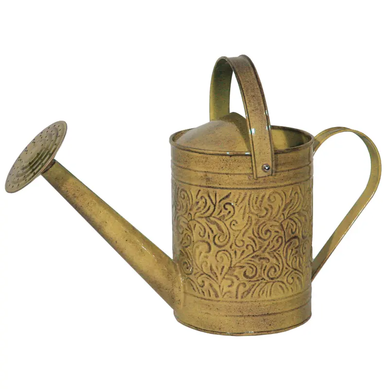 Robert Allen Topaz 1 gal Metal Morgan Watering Can - Deal of The Week