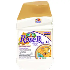 Rose Rx 4 in 1 Concentrate