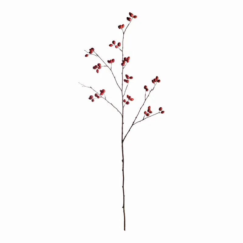 ROSEHIP BRANCH 43"