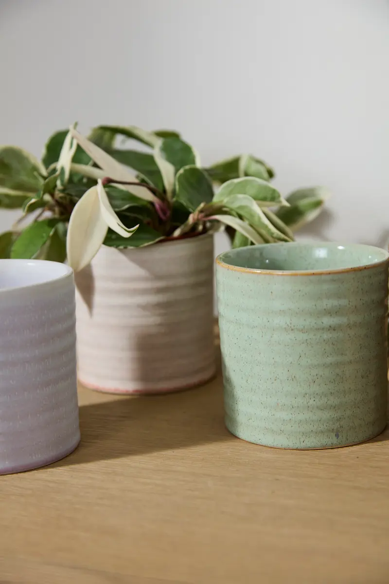 Roux Pot Set of 8 By Accent Decor
