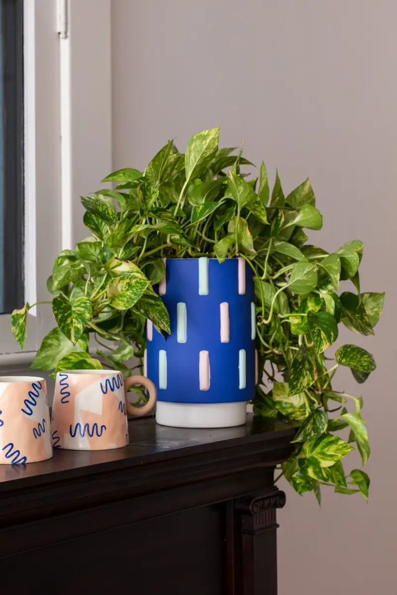 Ryland Pot Set of 2 By Accent Decor
