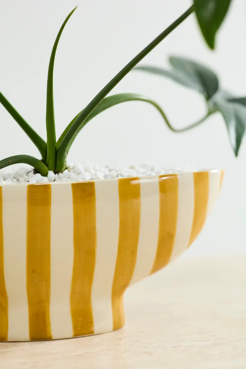 Saffron Boat Set of 2 By Accent Decor