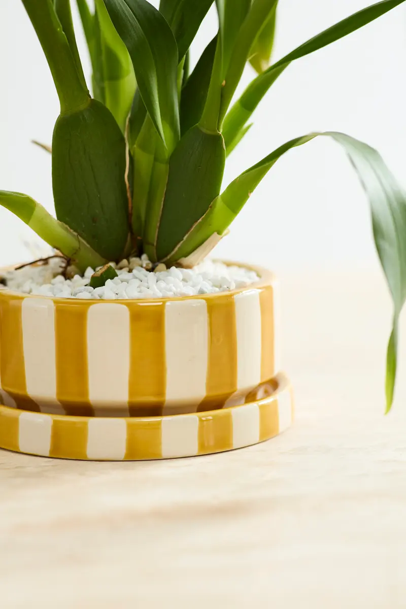 Saffron Pot Set of 4 By Accent Decor