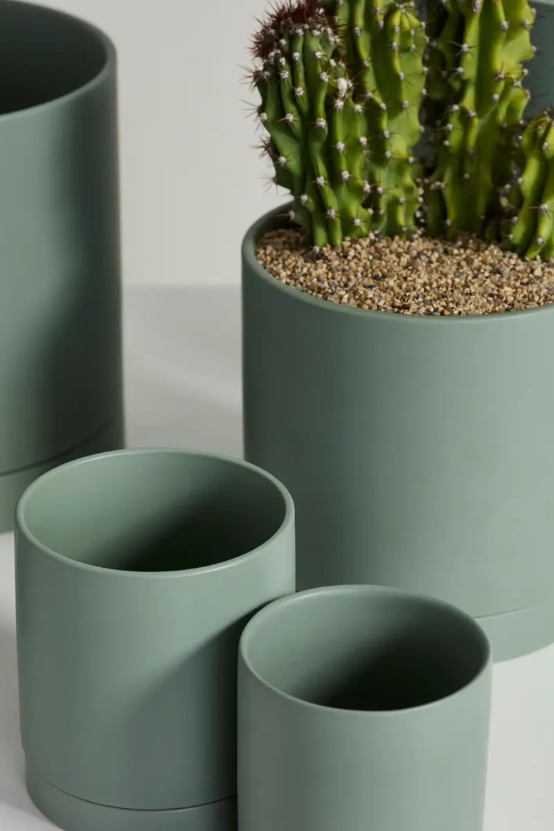 Sage Romey Pot By Accent Decor