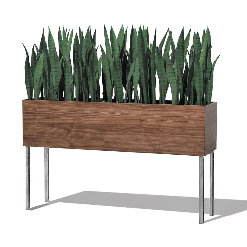 Sansevieria Green in Rectangle Planter w/ Legs By Gold Leaf
