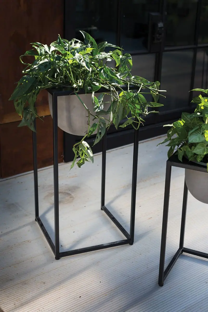 Scout Stand Only 17.75" x  36" By Accent Decor