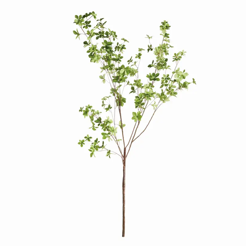 Shady Lady Black Olive Branches 56", Set Of 2