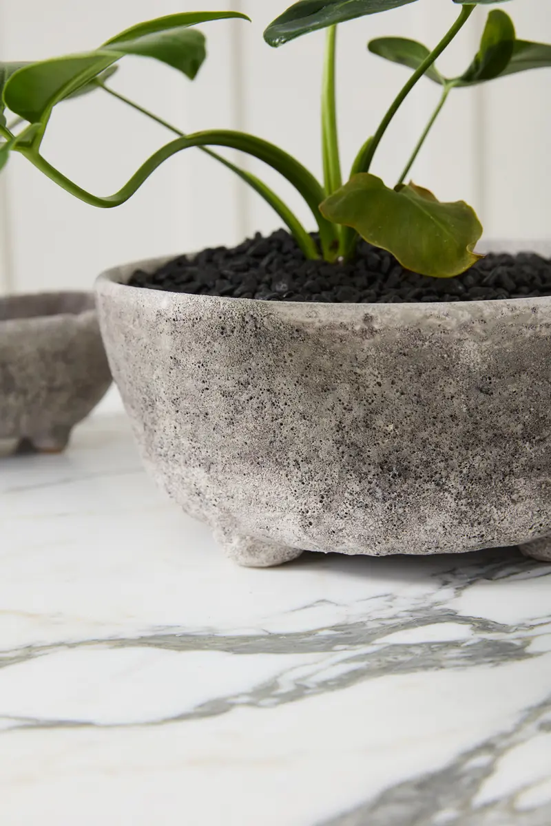 Shoal Bowl Set of 2 By Accent Decor