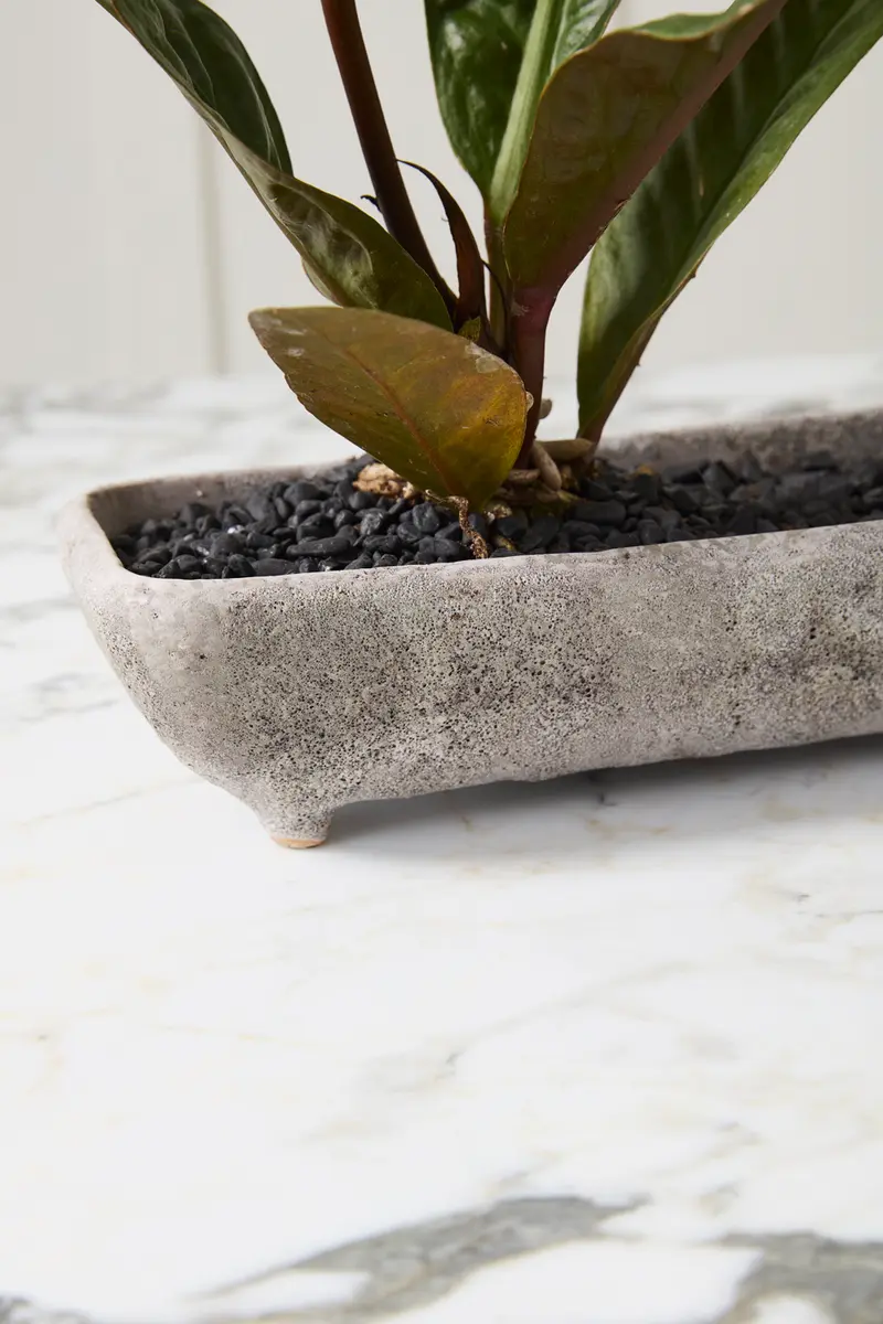 Shoal Trough Set of 2 By Accent Decor