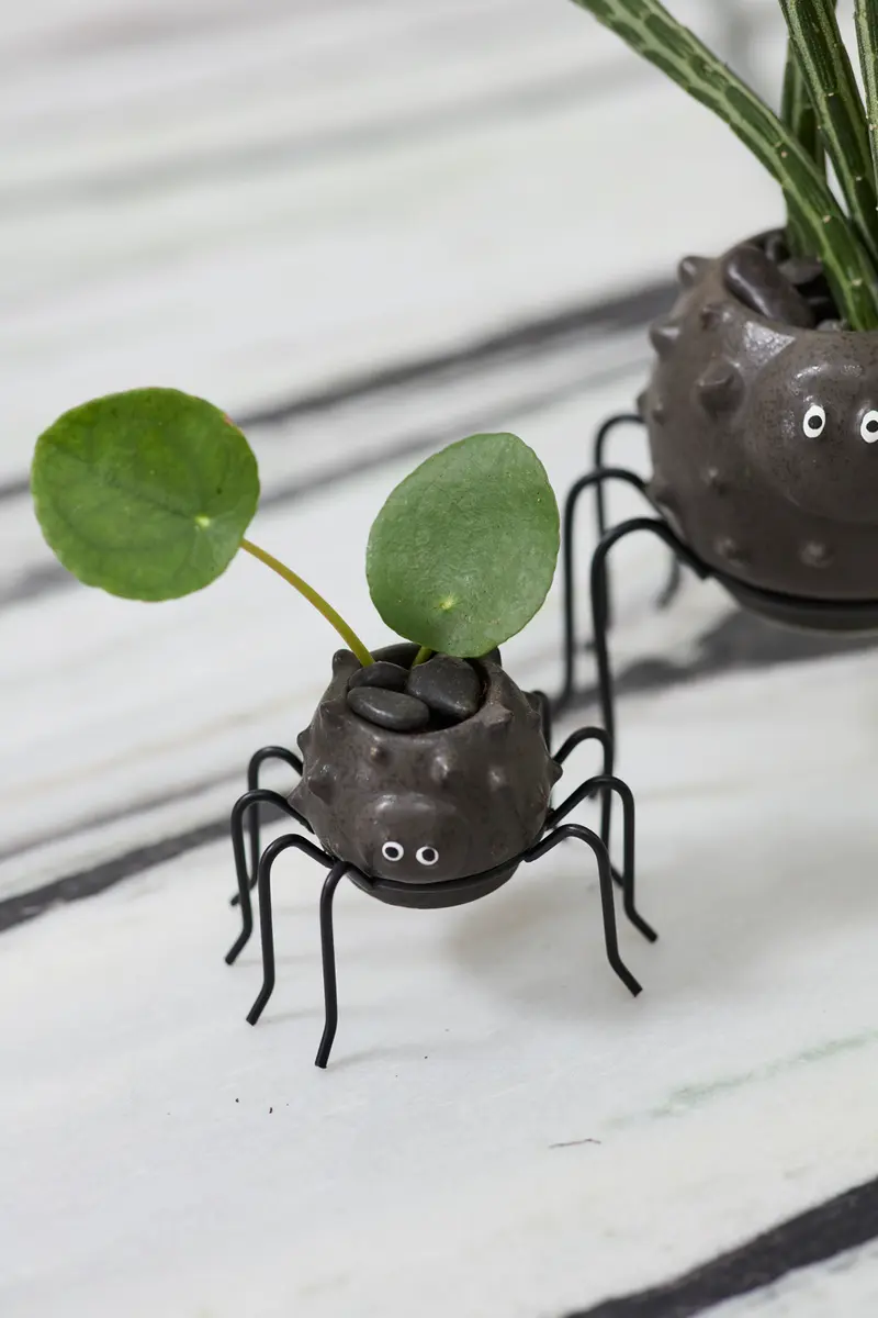 Silly Spider Pot Set of 8 By Accent Decor