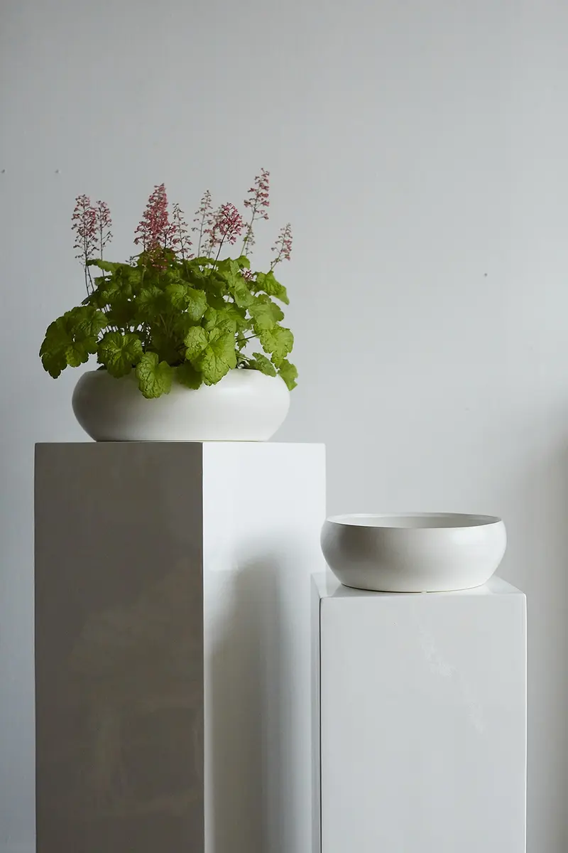 Simply Collection Set of 8 By Accent Decor