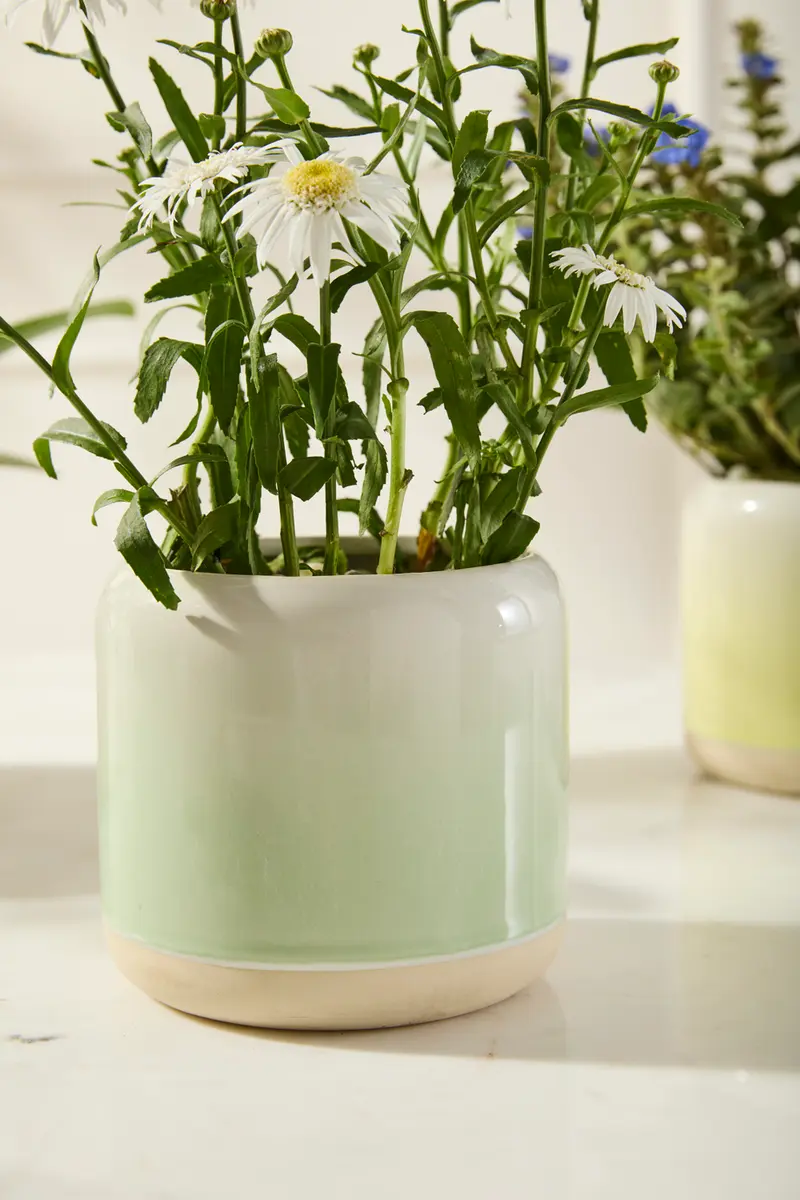 Skyway Pot Set of 8 By Accent Decor