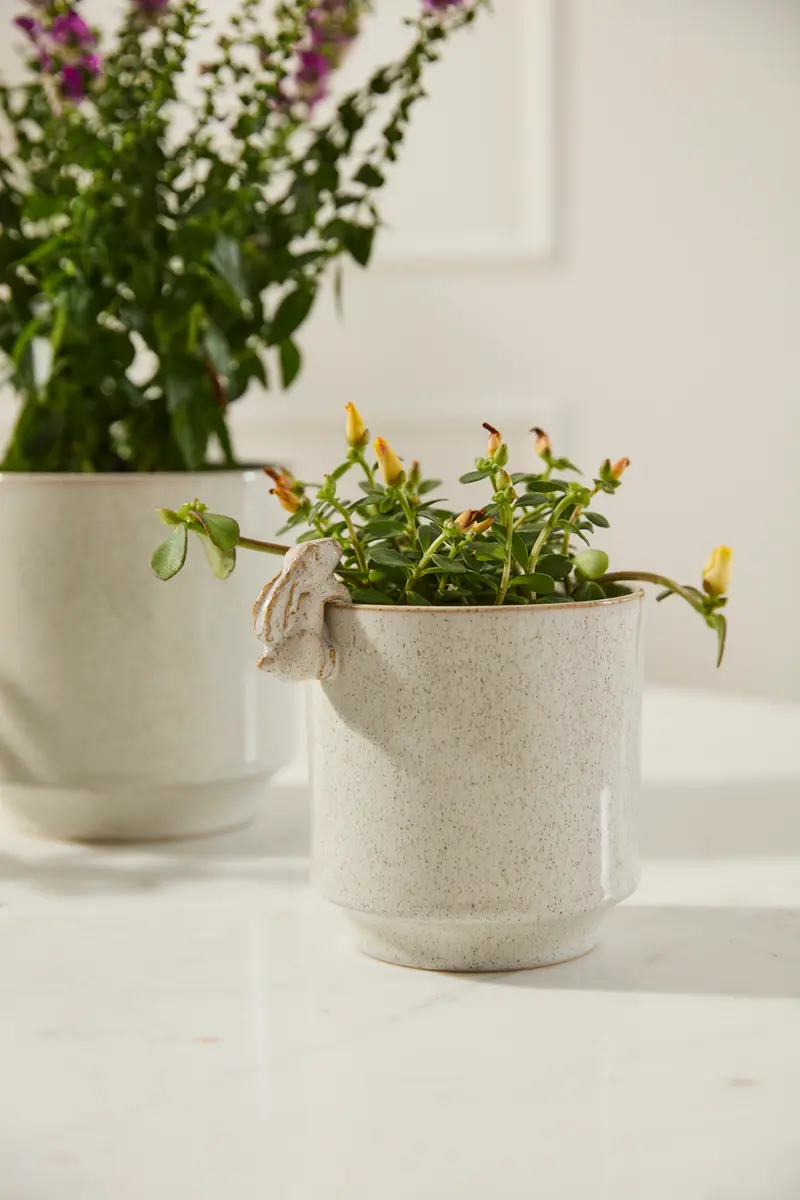 Sneaky Bunny Pot Set of 8 By Accent Decor