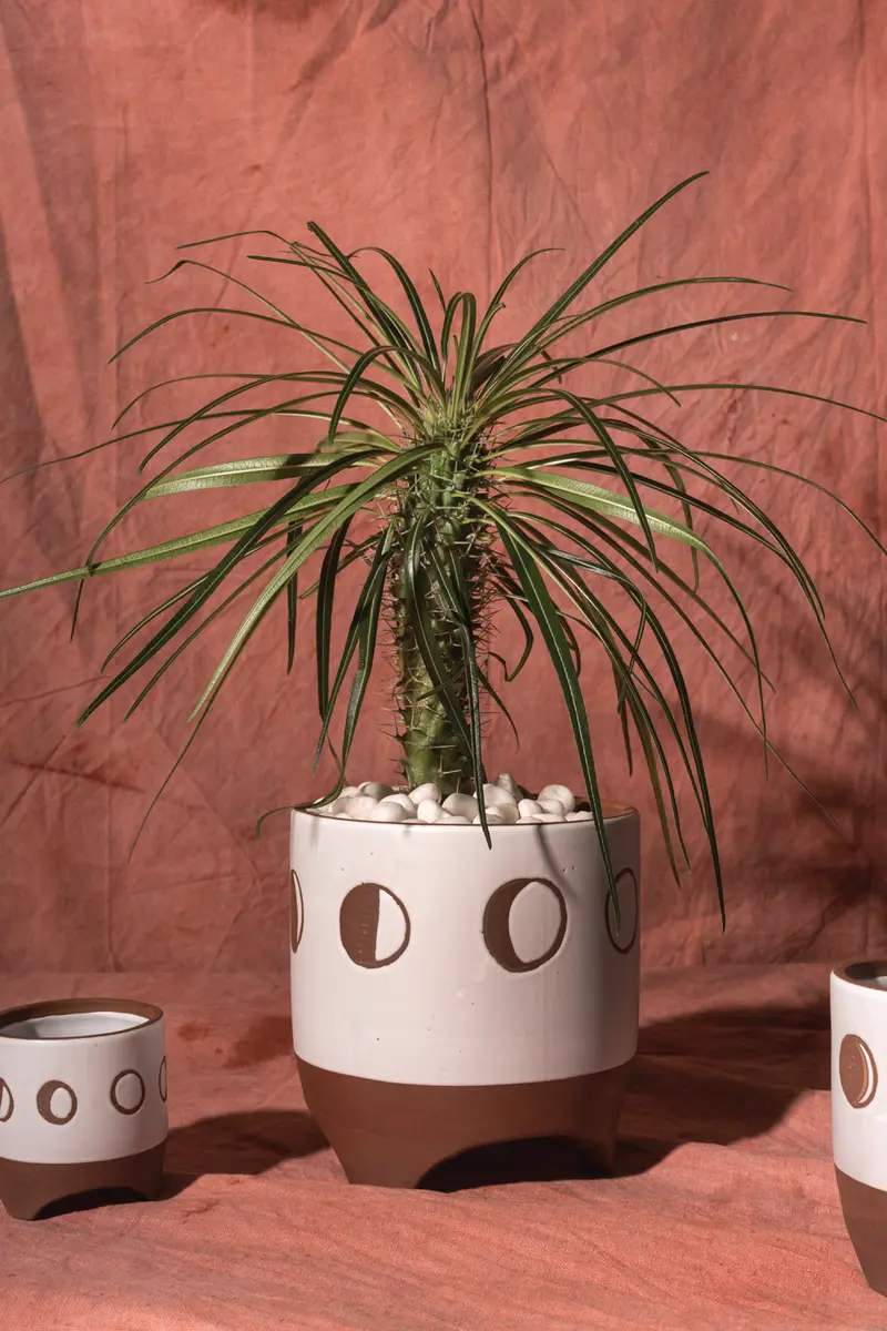 Solar Footed Pot Set of 8 By Accent Decor