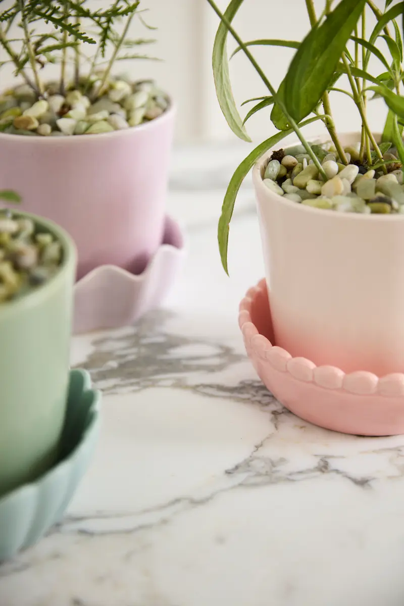Springvale Pot with Saucer Set of 4 By Accent Decor