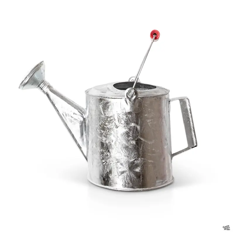 Steel Watering Can 1.5 gal