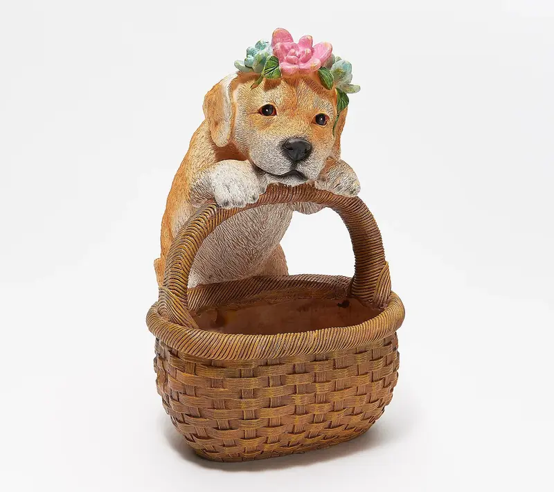 Succulent Planter Basket, , Dog,zq84g3466