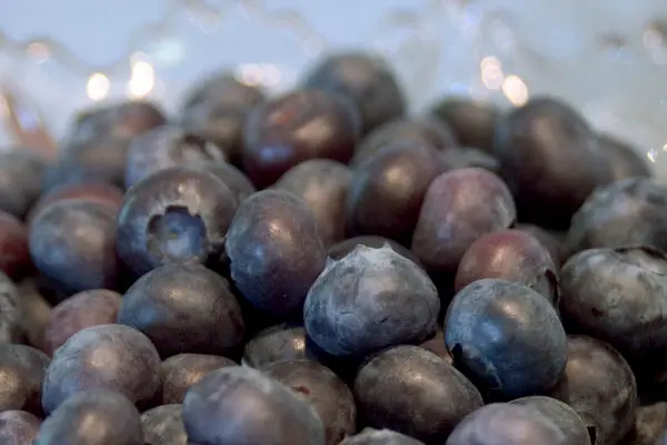 Superior Blueberry