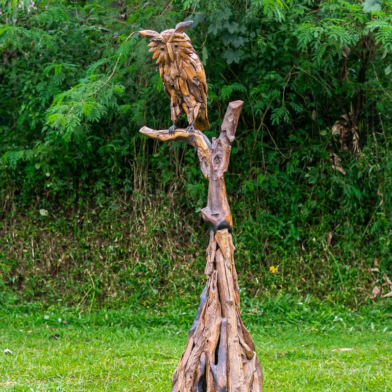 Teak Root Owl on Tree By Garden Age Supply