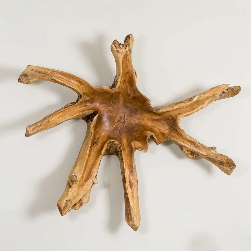 Teak Root Wall Decor - Spider Set of 2 By Garden Age Supply