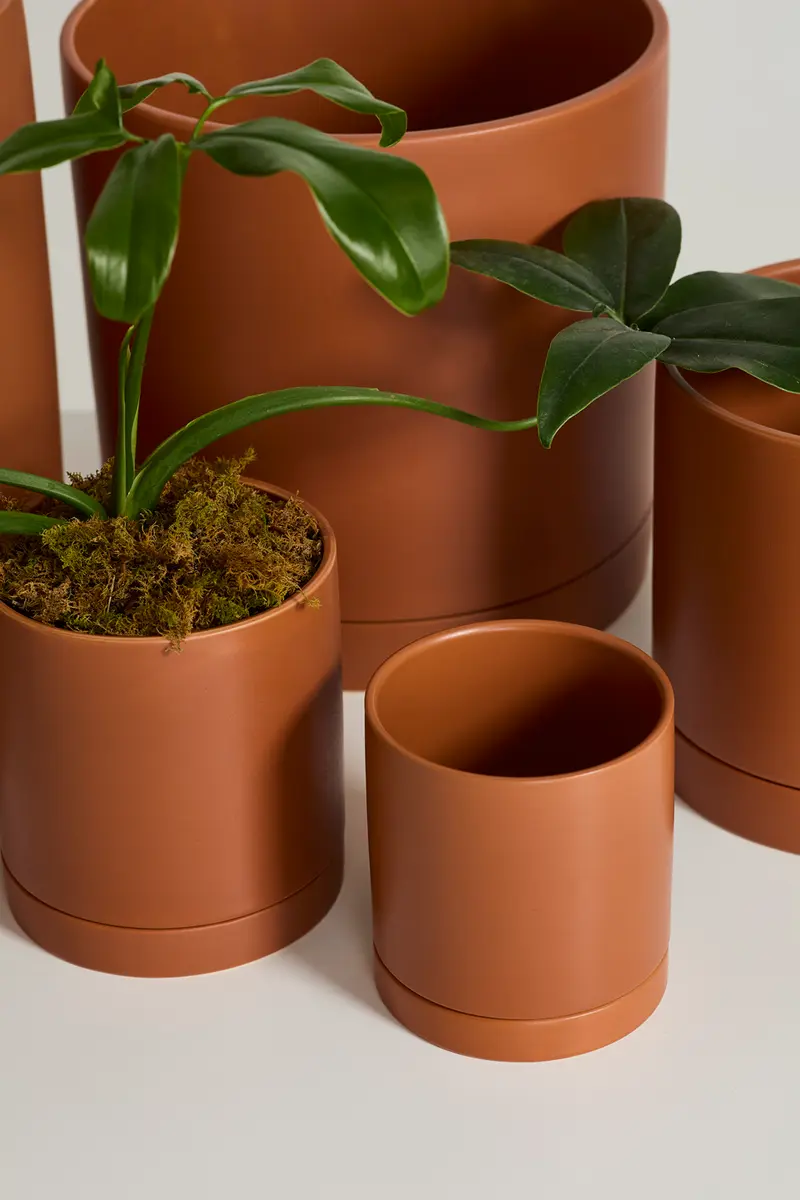 Terracotta Romey Pot By Accent Decor