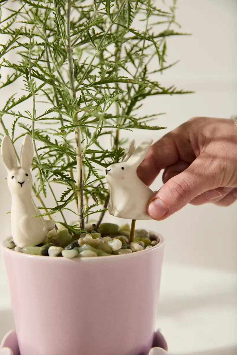 Thumper Plant Sticks - Set of 6 By Accent Decor