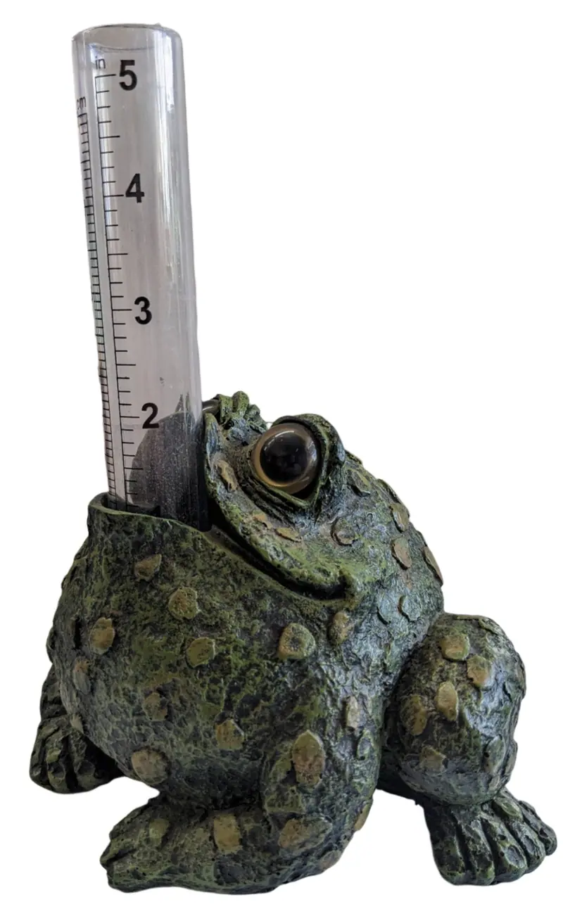 Toad Rain Gauge-Natural or Dark Natural