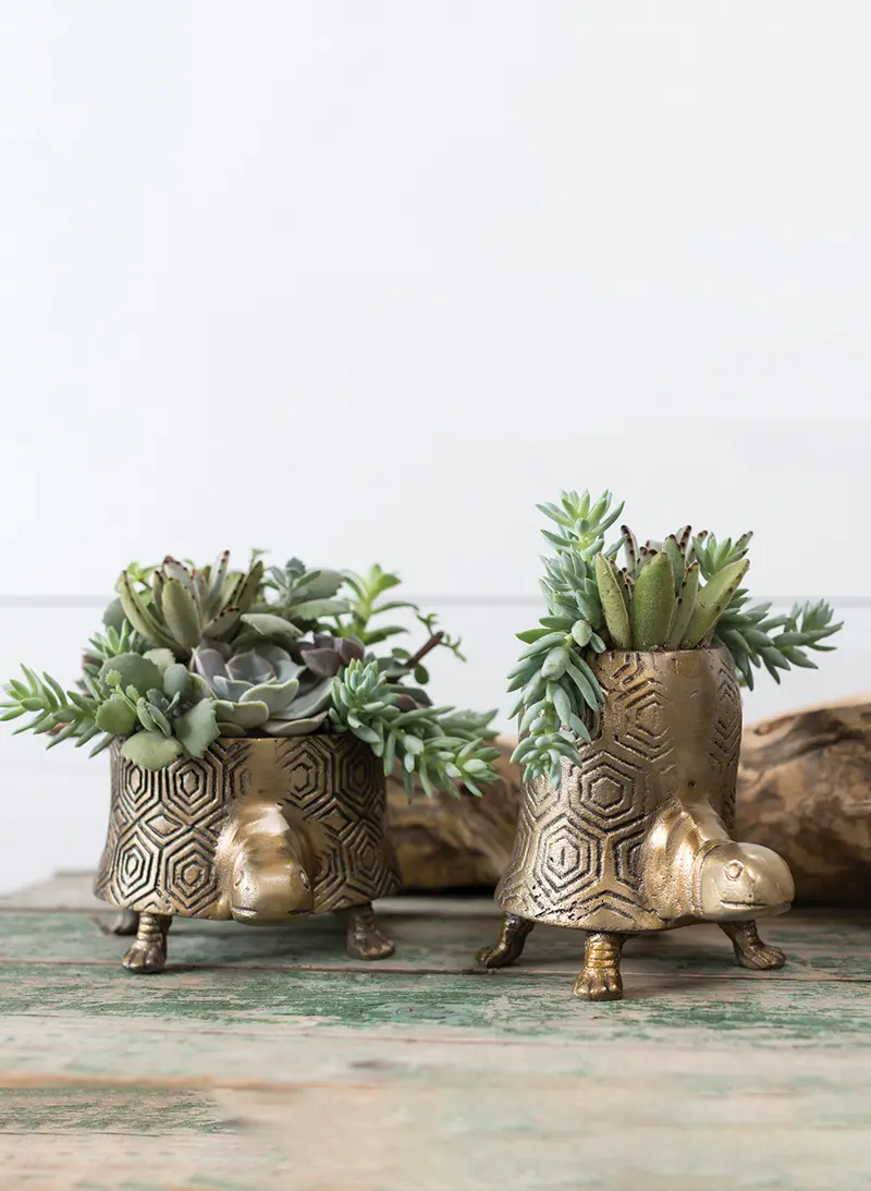 Tommie Turtle Pot Set of 2 By Accent Decor
