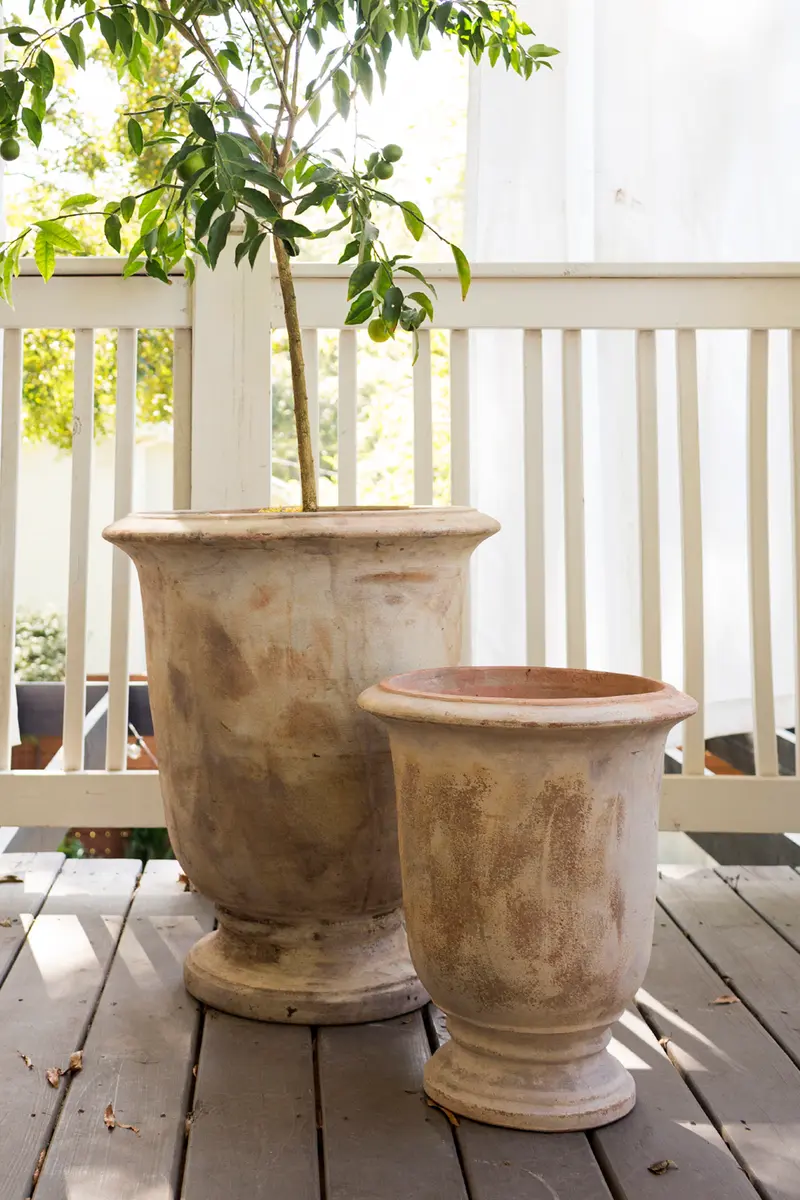 Toscano Urn By Accent Decor