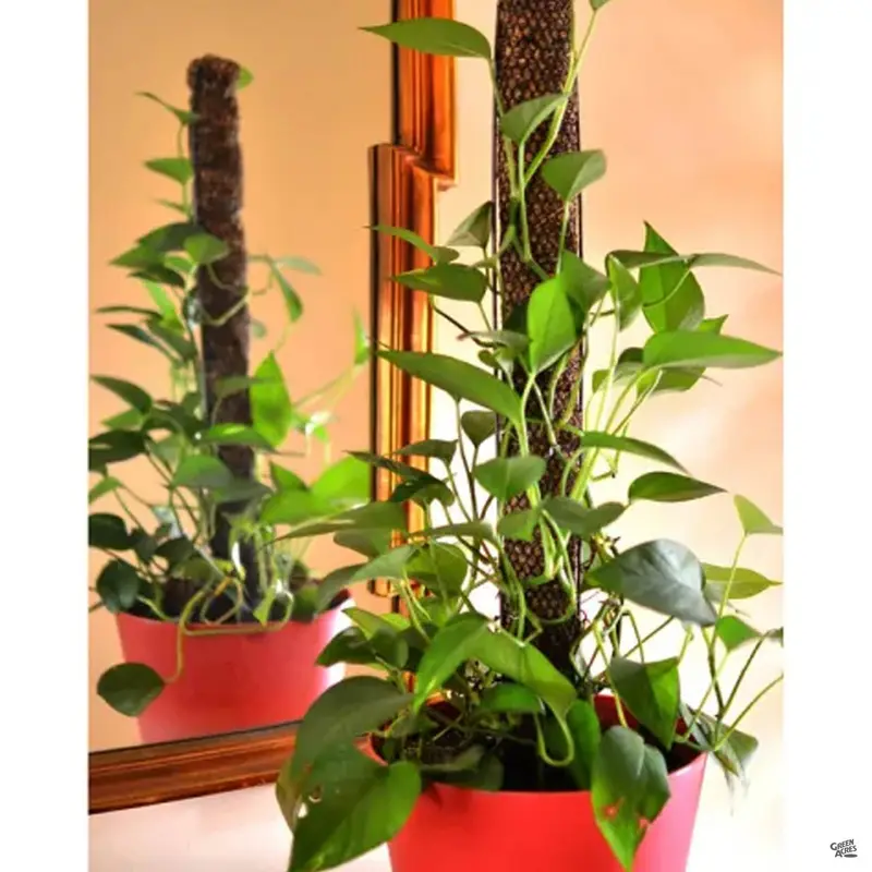 Totem Pole™ Plant Support 18"