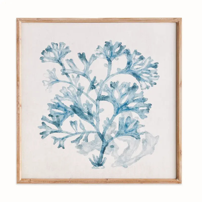 TRANSLUCENT CORAL PRINT
