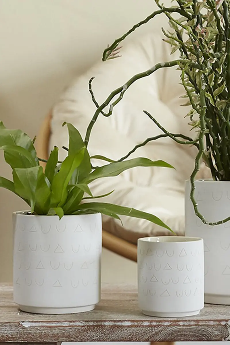 Triangles and Tatas Pot Set of 8 By Accent Decor