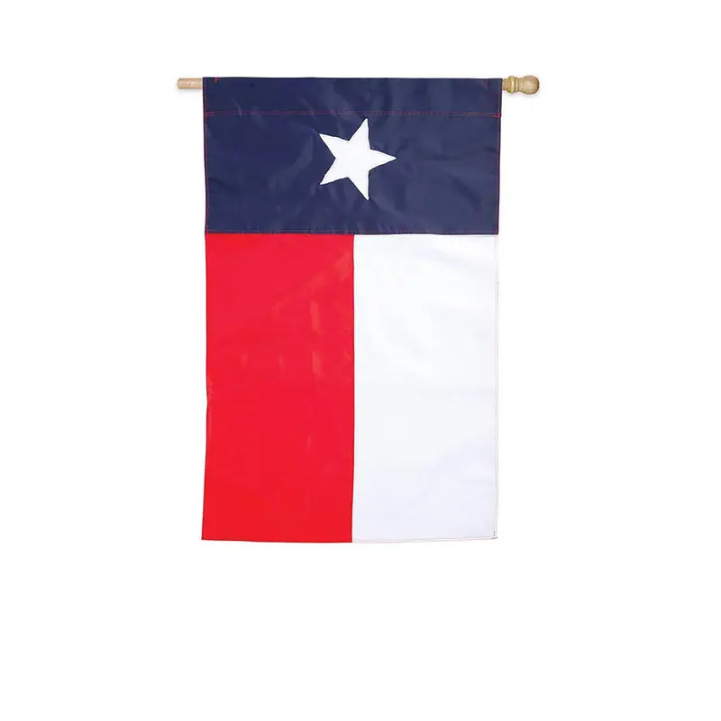 TX State House Flag