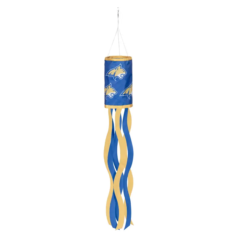 University of Pittsburgh Windsock