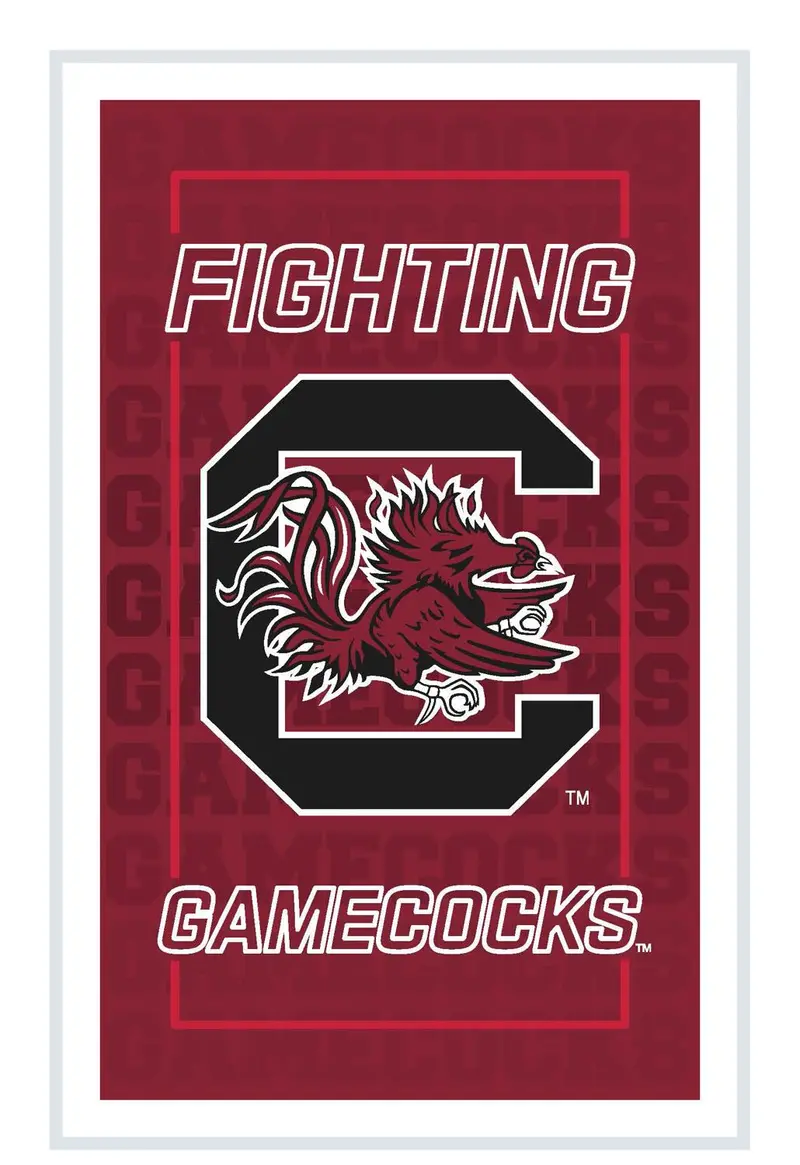 University of South Carolina College Rectangle Neolite LED Decor