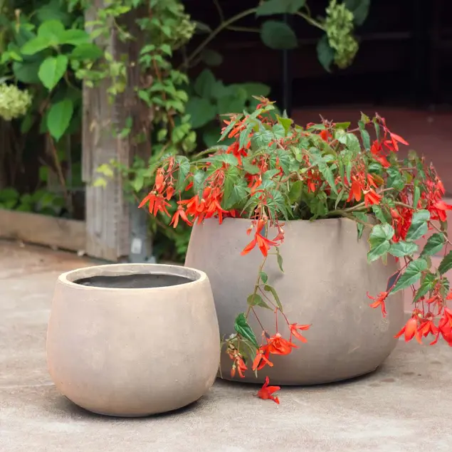 Urbano Puddle Planters, Set Of 2 By Gold Leaf Design Group