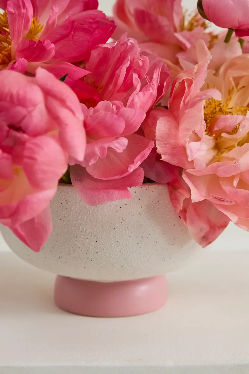 Valeria Collection Set of 2 By Accent Decor