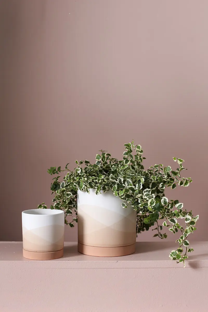 Vesper Collection Set of 8 By Accent Decor