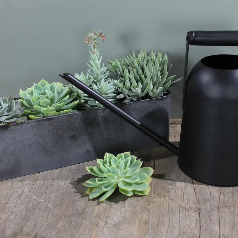 Vinca Galvanized Tray Planter - Small Set Of 2 By HomArt