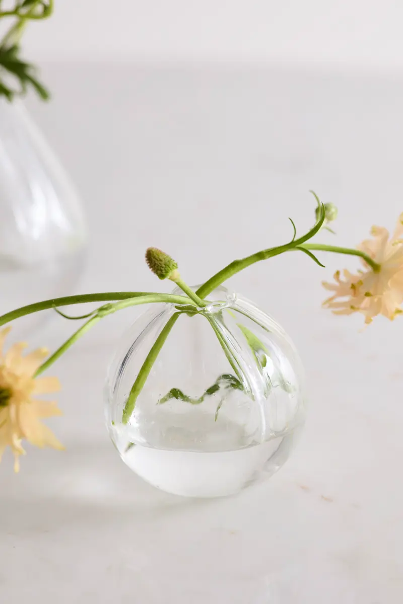 Viola Budvase Set of 8 By Accent Decor