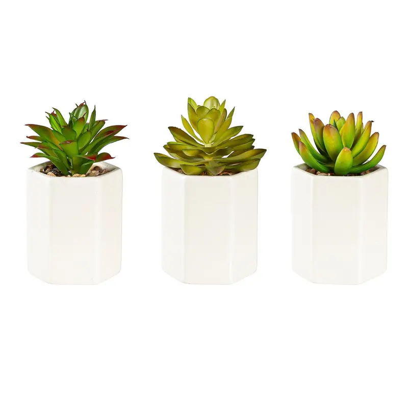 VivaStyle Faux Floral Table Décor, Succulent with Cream Cement Planter, Asst of 3, CDU