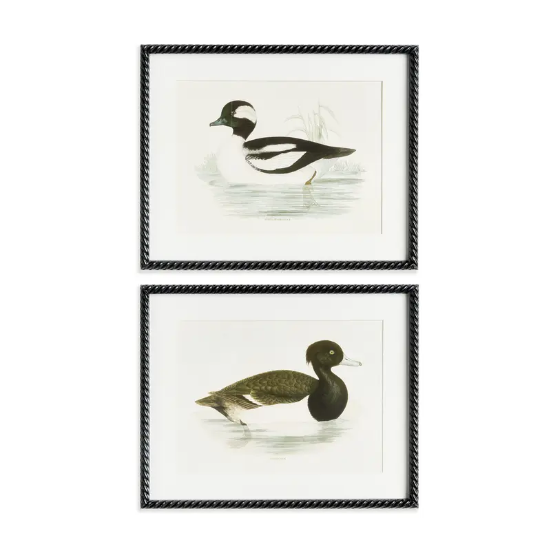 Wading Duck Prints St/2