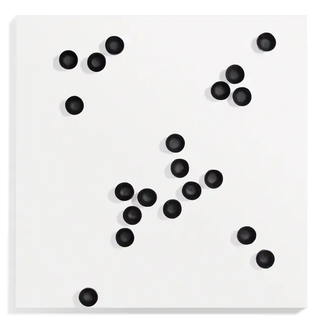Wall Play Substrate White, 'Seed Black By Gold Leaf Design Group
